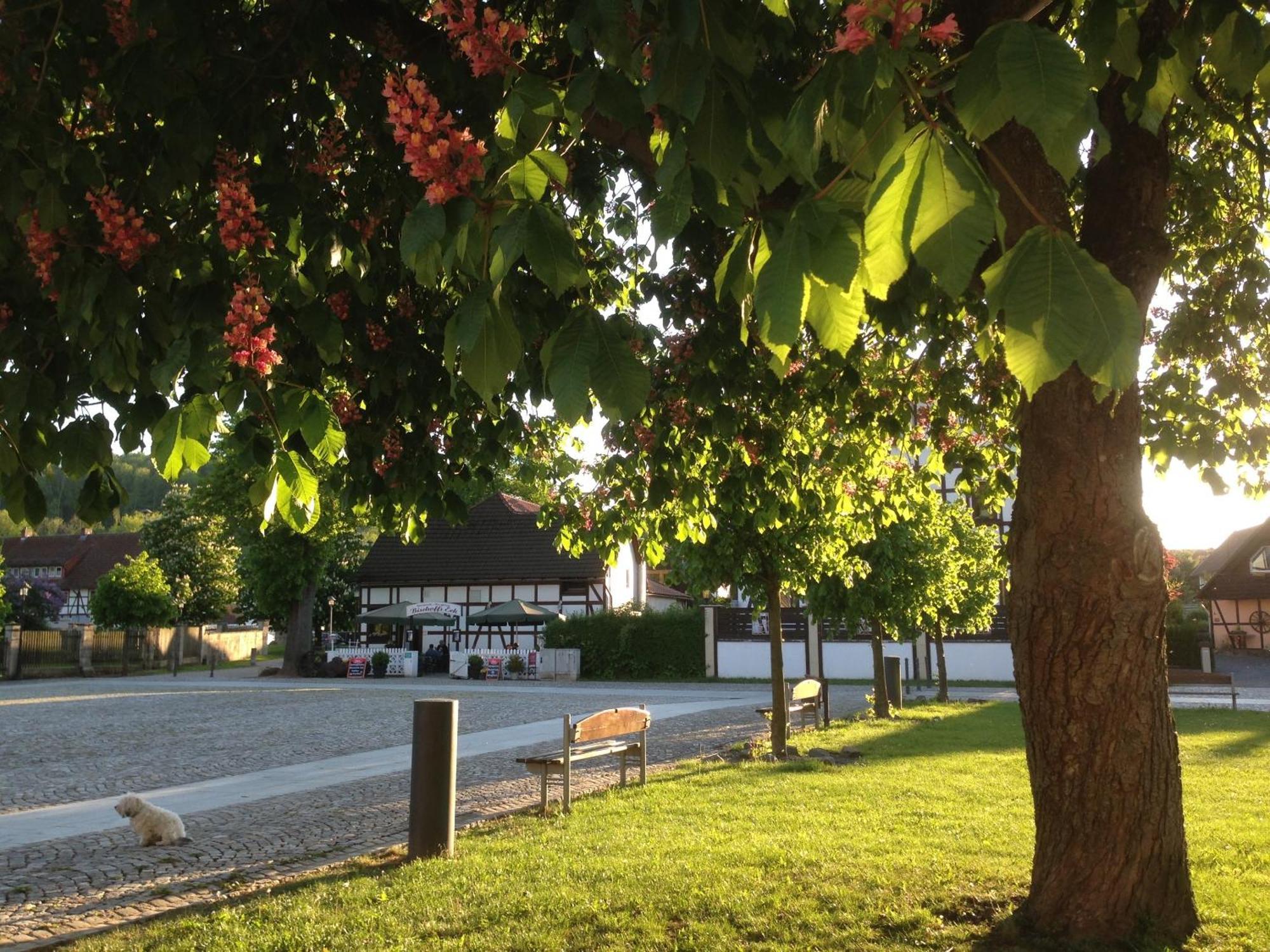 Klosterhotel Валькенрид Экстерьер фото